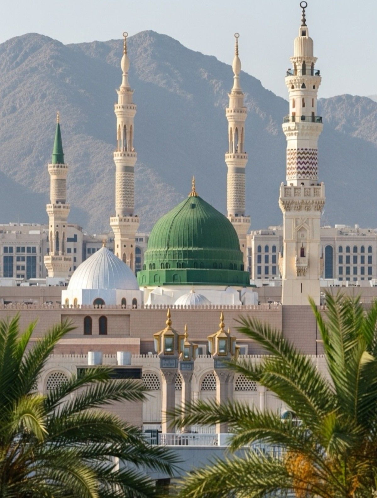 مقاله چهارم